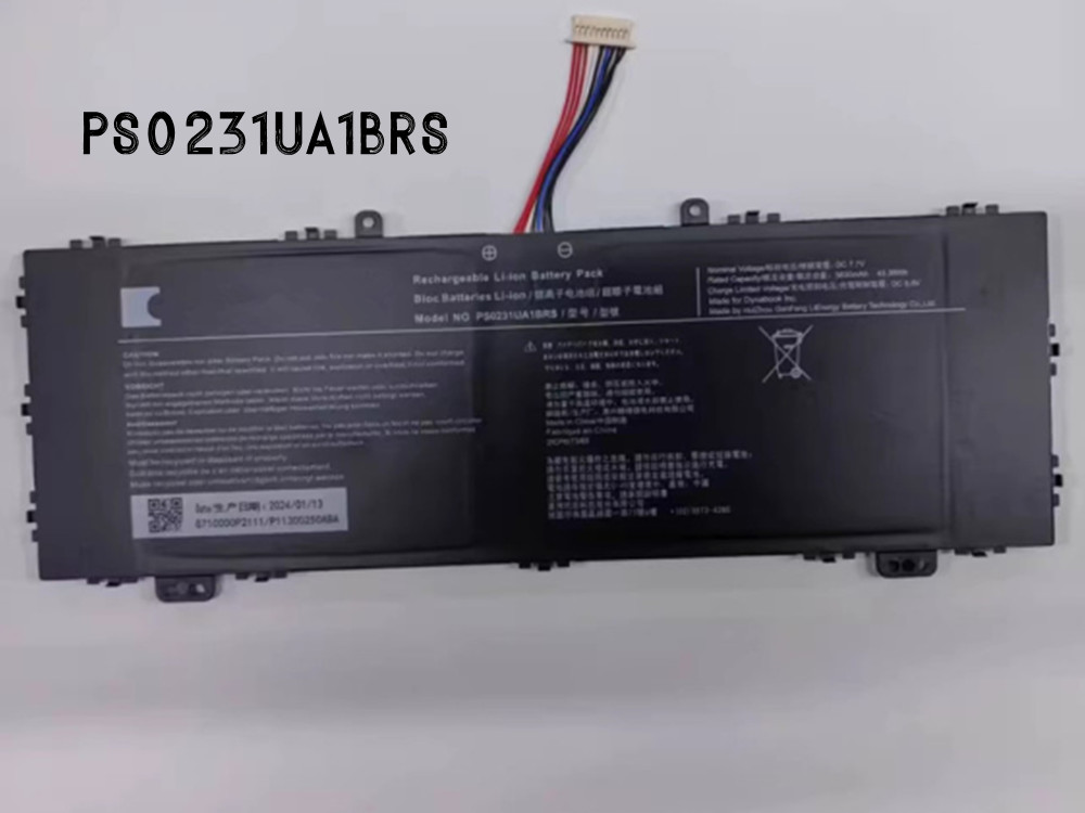 PS0231UA1BRS